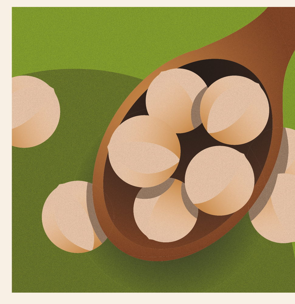 A wooden spoon full of macadamia nuts